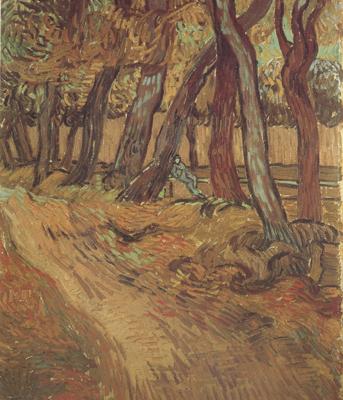 Vincent Van Gogh The Garden of Saint-Paul Hospital with Figure (nn04)